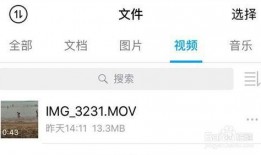 怎么获取爆料视频链接呢,揭秘获取爆料视频链接的独家途径